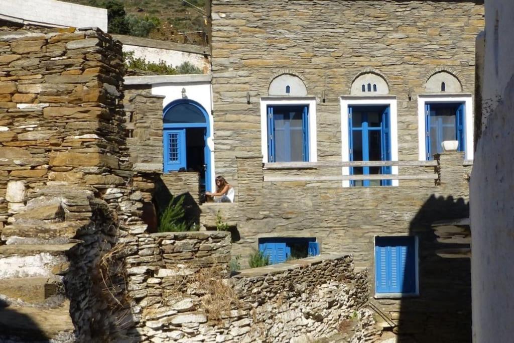 Villa Andros Stone Sea View *